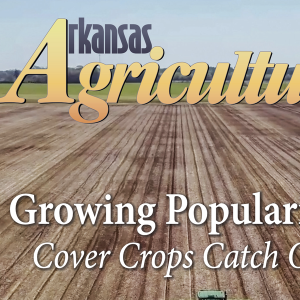 Arkansas Agriculture | Fall 2021