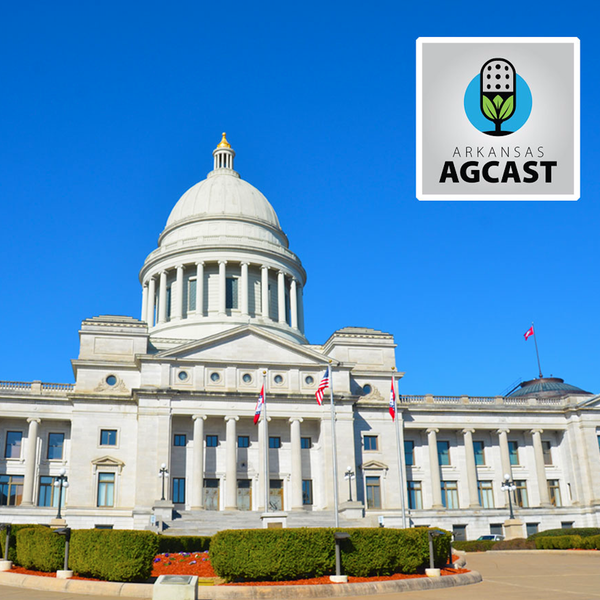 Arkansas AgCast | March 4, 2022