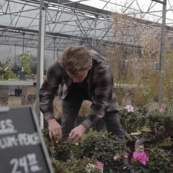 The Nurserie | Farmer Profile