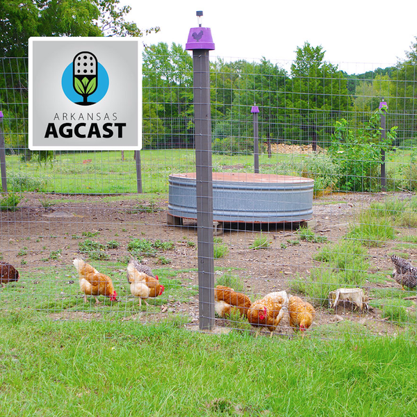 Arkansas AgCast | April 1, 2022