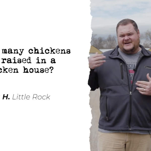 Ask a Farmer, Ep. 1 | Poultry