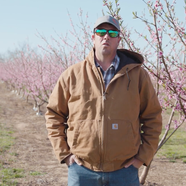 Ask a Farmer | Ep. 2, Peach Farmer