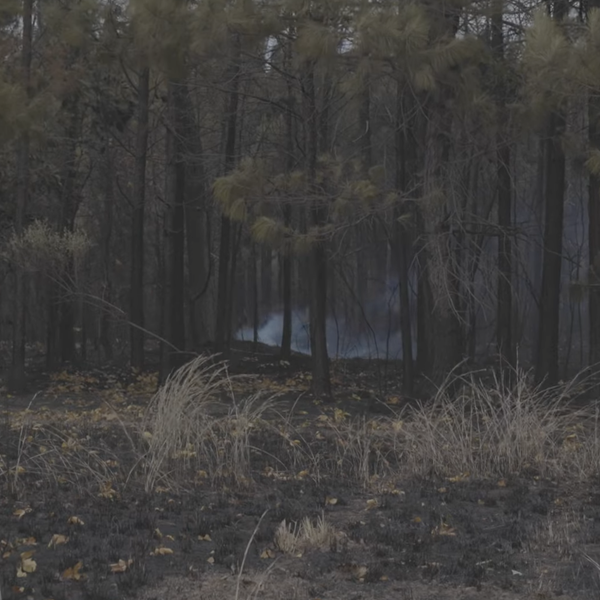 Dry Danger | Jefferson County Wildfire