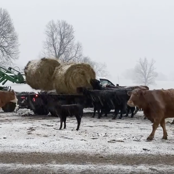 Winter Weather Update from the Farm | Larry Blasdel, Jeremy Miller & Dennis Taylor