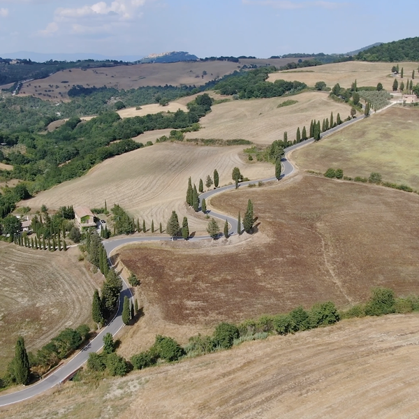 Sicily and Little Rock Form Unlikely Partnership Through Agriculture