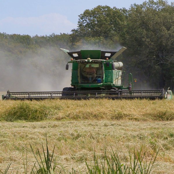 Arkansas County Farm Raises Rice Record