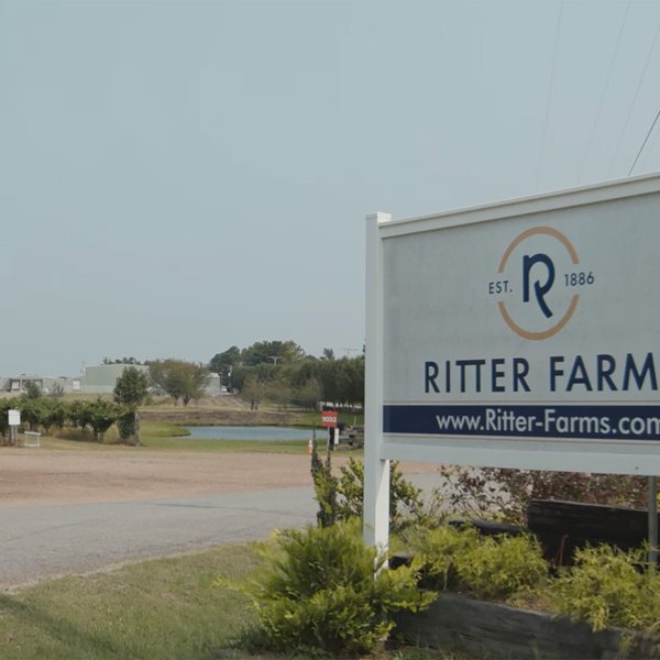 Arkansas’ Largest Blackberry Farm