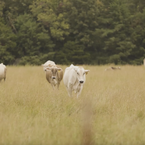 The Arkansas Farm Trail