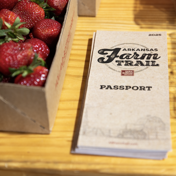 Delicious Strawberries: Holland Bottom Farm