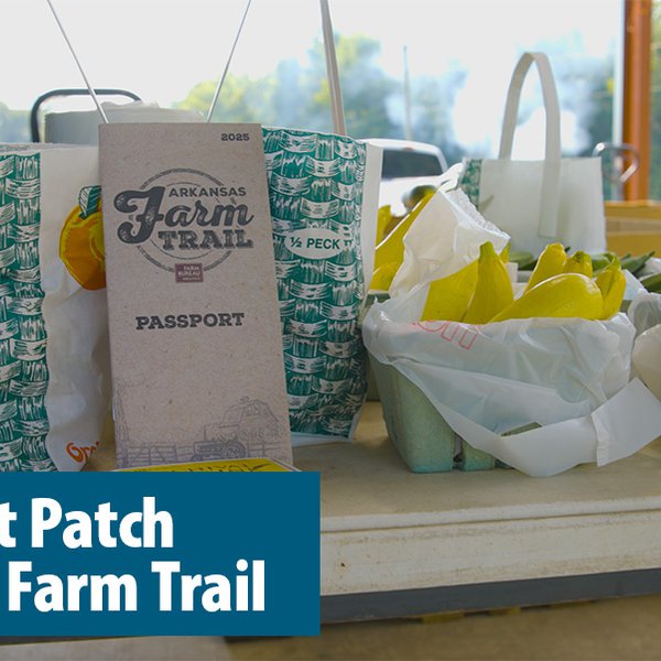 The Cabot Patch | Arkansas Farm Trail