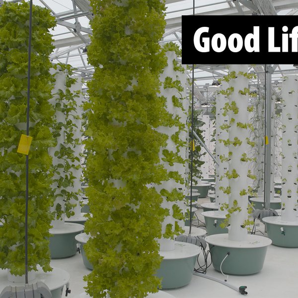 Good Life Farms Unique Growing Technique