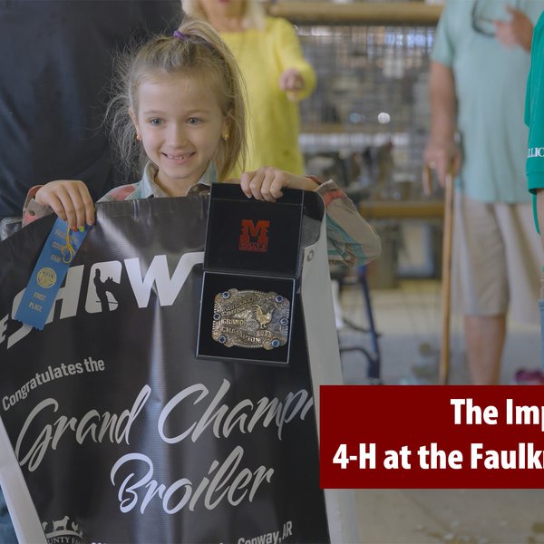 The Important Role of 4-H at the Faulkner County Fair