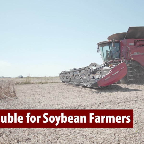 Double Trouble for Soybean Farmers