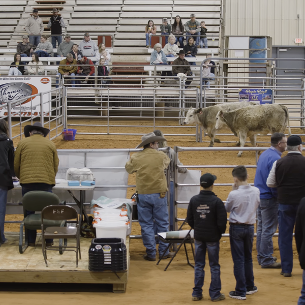 2026 Arkansas Beef Leadership Event