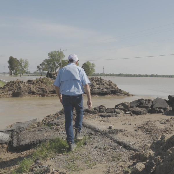 Unclogging Cache River Priority for Farmers