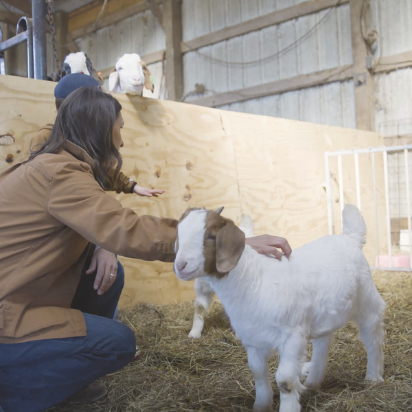 International Year of the Woman Farmer