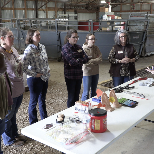 Cattlewomen’s Bootcamp