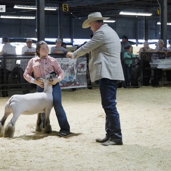 2026 Arkansas State Fair | Haddie Wilkinson