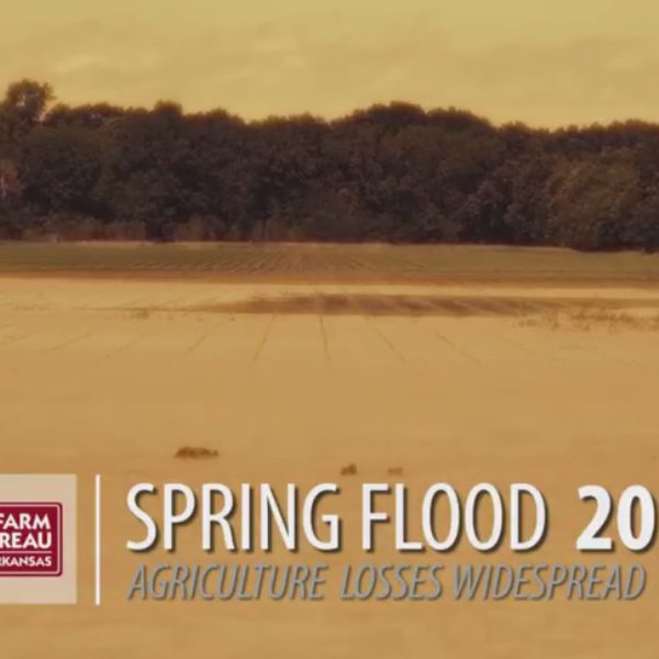 Flooding Hits Arkansas Agriculture