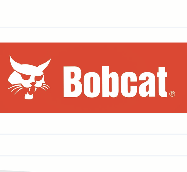Bobcat