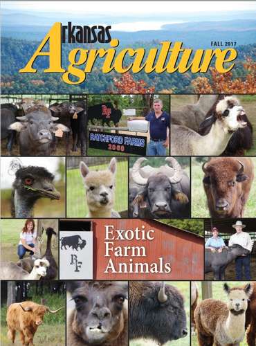 Arkansas Agriculture Magazine for Fall 2017
