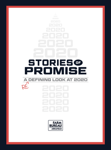 Stories of Promise: A Redefining Look at 2020